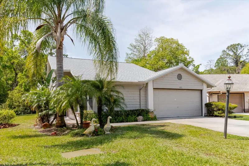 11521 Rose Tree Dr, FL