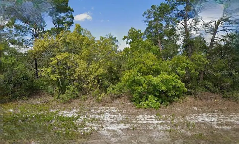215 & 217 Treasurer Ave Ne, FL
