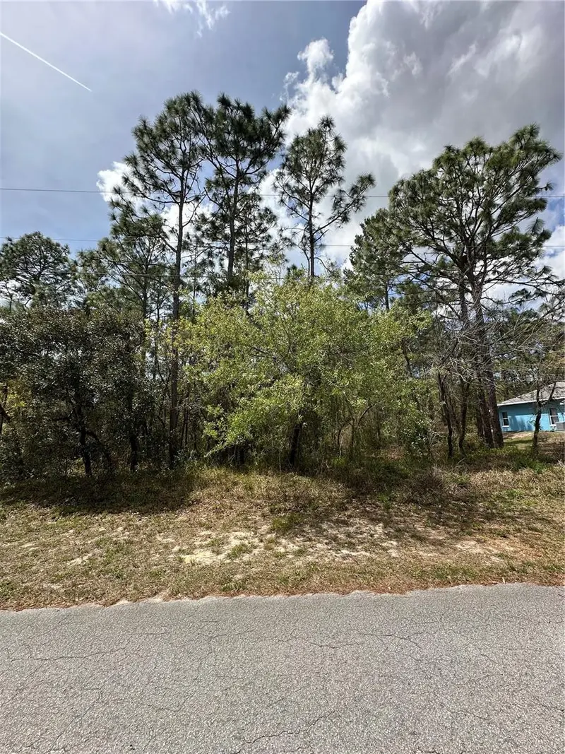 2 Fringetree Ct, FL