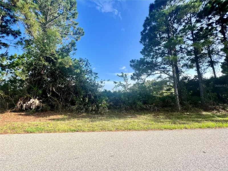 12415 Deepwoods Ave, FL