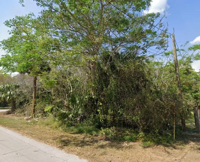 Longwood Dr, FL