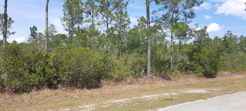 404 Allamanda Dr, FL