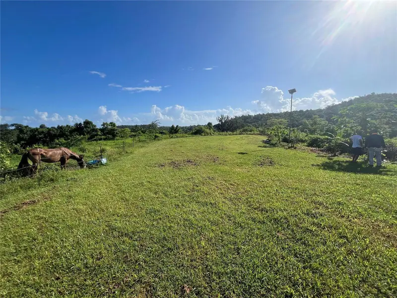 Carr. 857 Km.Hm 003 3 Bo. Canovanillas, PR