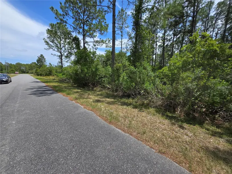00 W Bluebell Ave, FL
