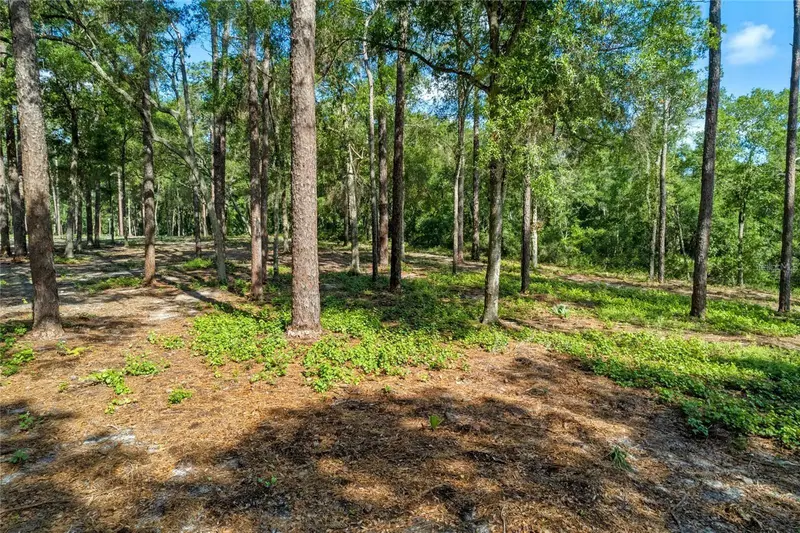 29901 State Road 44, FL