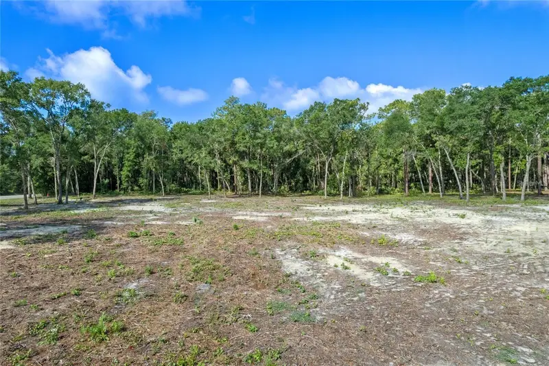 29901 State Road 44, FL