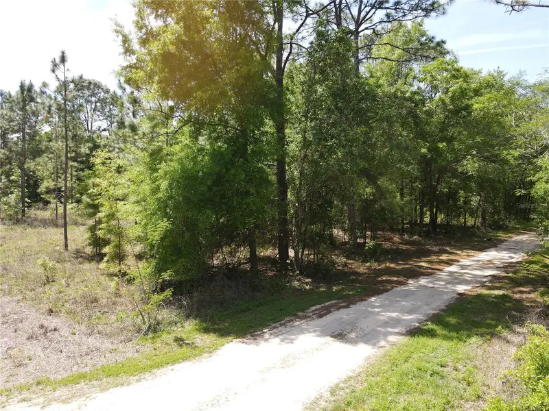 Sw 29 Ln, FL
