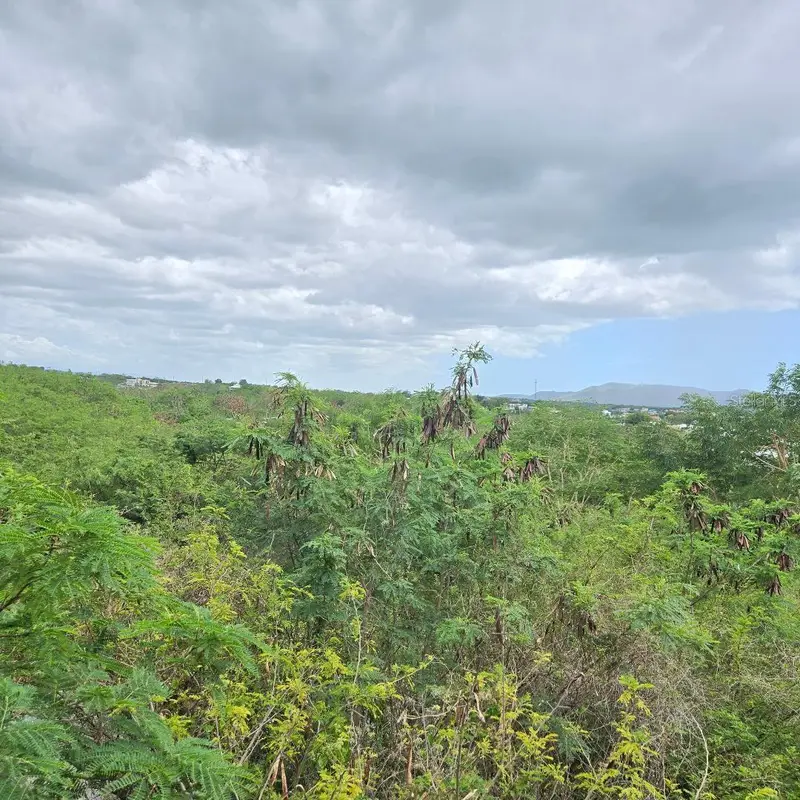 307 Pedernales Ward, PR