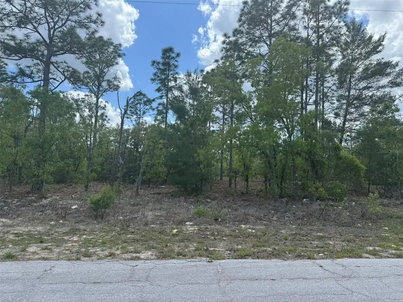 2984 W Liza Pl, FL