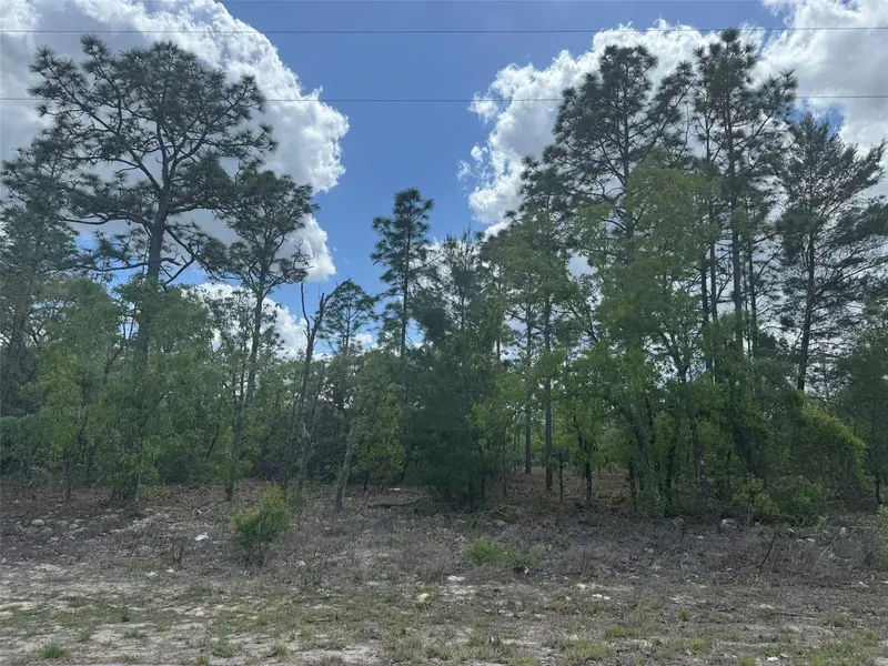 3000 W Liza Pl, FL