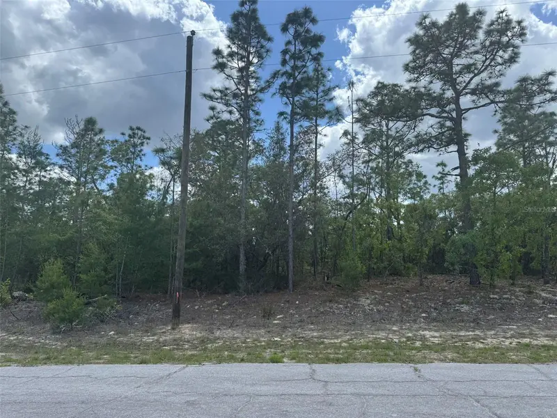 3000 W Liza Pl, FL