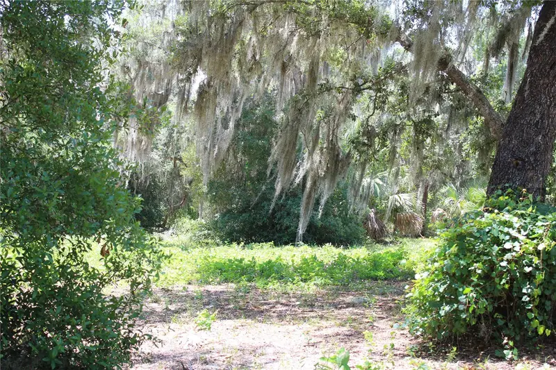 3117 Bright Lake Cir #Lot 63, FL