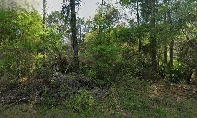 Not Assigned, FL