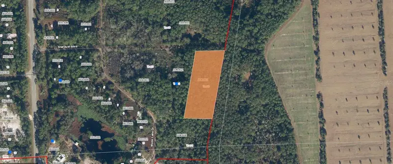 Not Assigned, FL