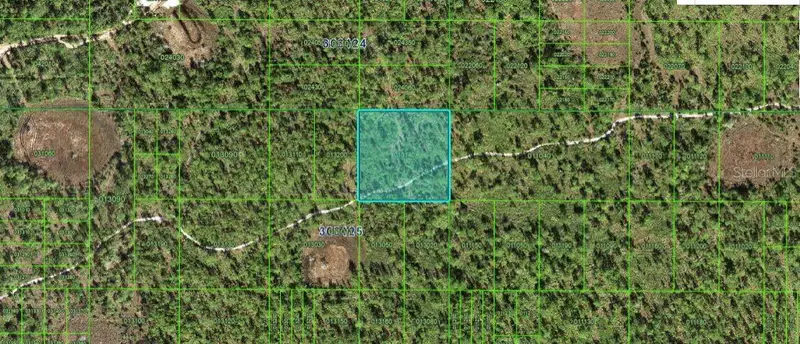 N/A, FL
