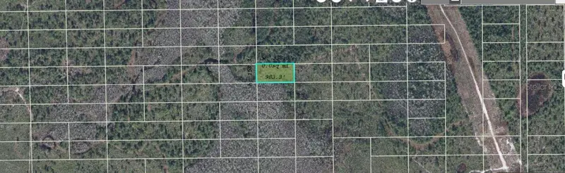Dill Rd, FL