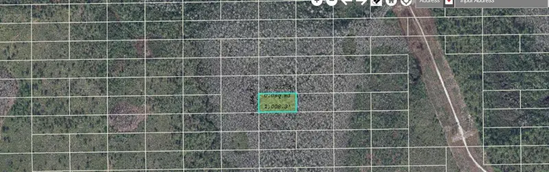 Dill Rd, FL