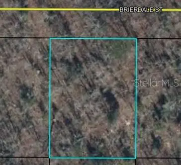 Lot 3 Brierdale St, FL