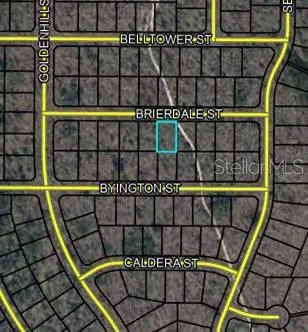 Lot 6 Brierdale St, FL