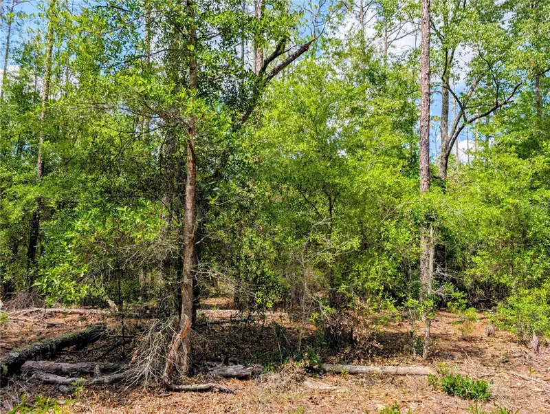 Tbd Sw 93rd Lane, FL