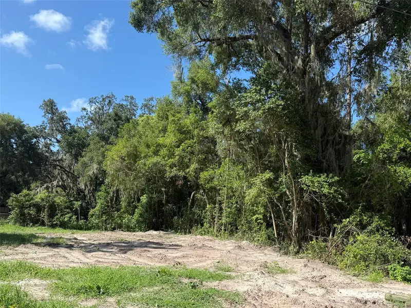 115 Roddy Ln, FL