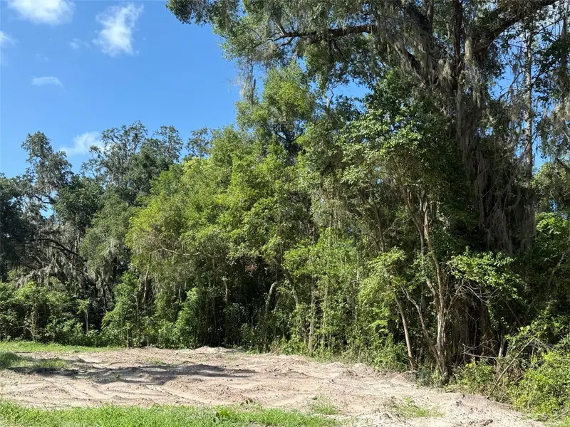 115 Roddy Ln, FL
