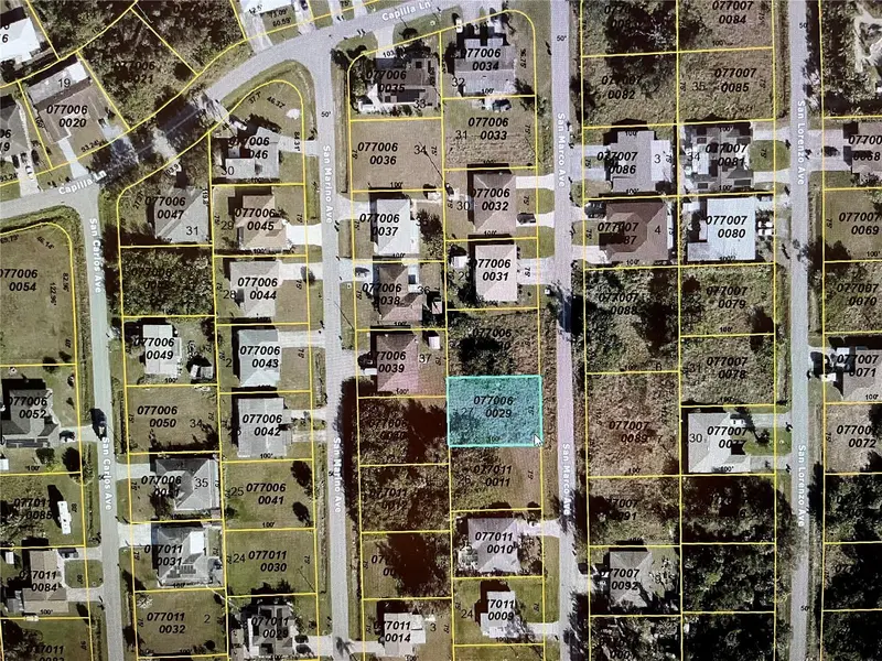 Lot#27 San Marco Ave, FL