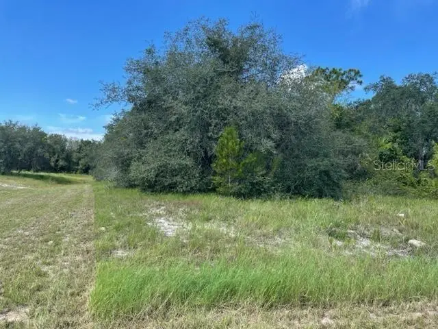 Kissimmee Way, FL