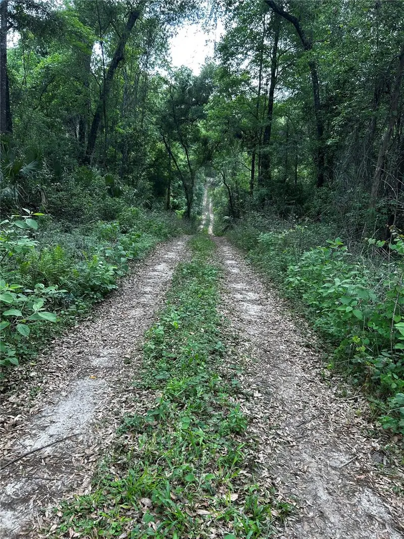 Tbd Nw 123rd Pl, FL