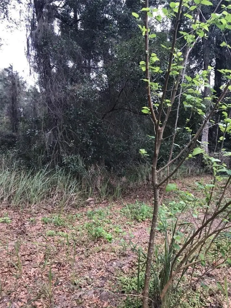 260 Mercers Fernery Rd, FL