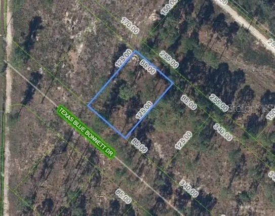 6139 Texas Blue Bonnett Dr, FL