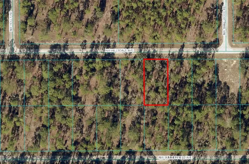 Lot 15 Nw Hillsdale Ave, FL
