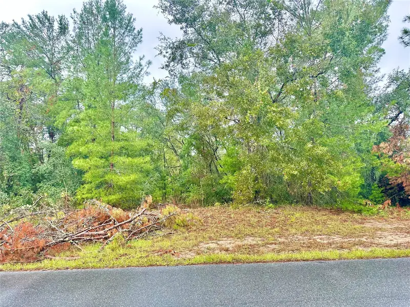 Tbd Sw 46th Ter #Lot 41, FL