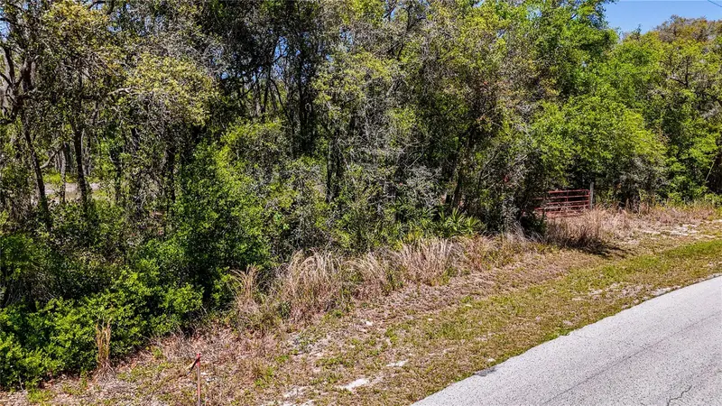 34281 Umbrella Rock Dr, FL
