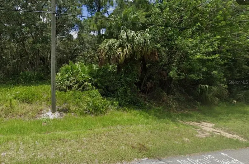 Pesola Ter, FL