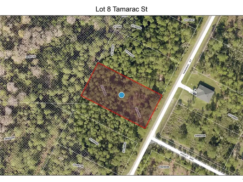 Lot 8 Tamarac St, FL