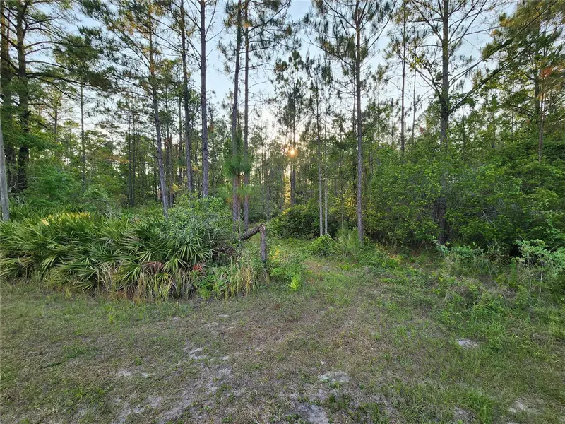 Lot 8 Tamarac St, FL