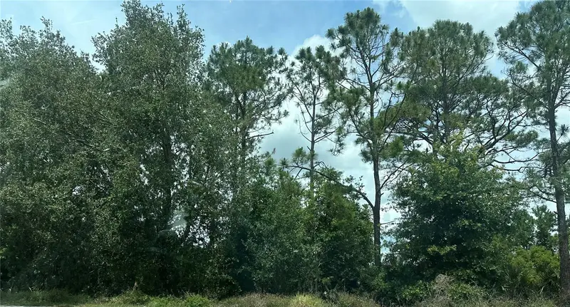 Sr-535, FL