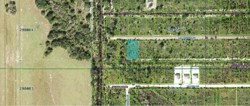 Calliandra Dr, FL
