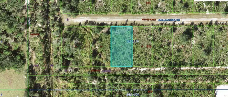 Calliandra Dr, FL