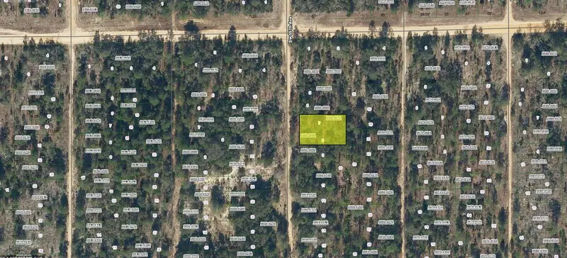 Sw 55th Ave, FL