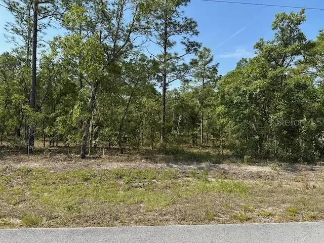 Lot 20 Sw Anchor Blvd, FL