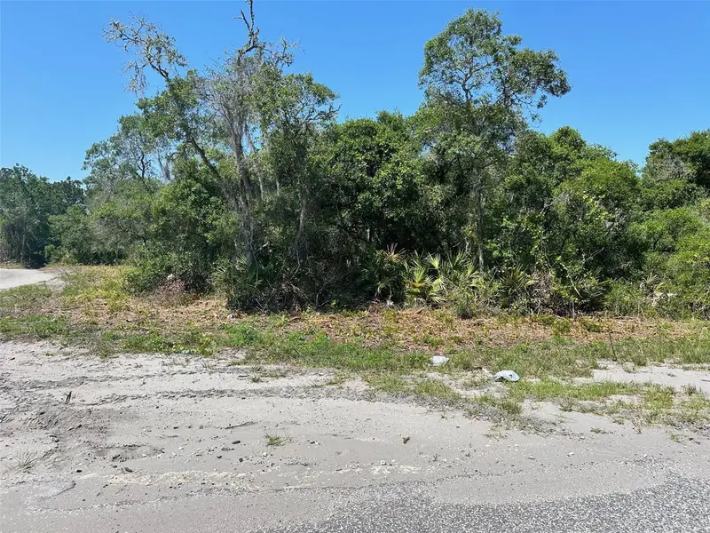 Tbd Fisher Way, FL