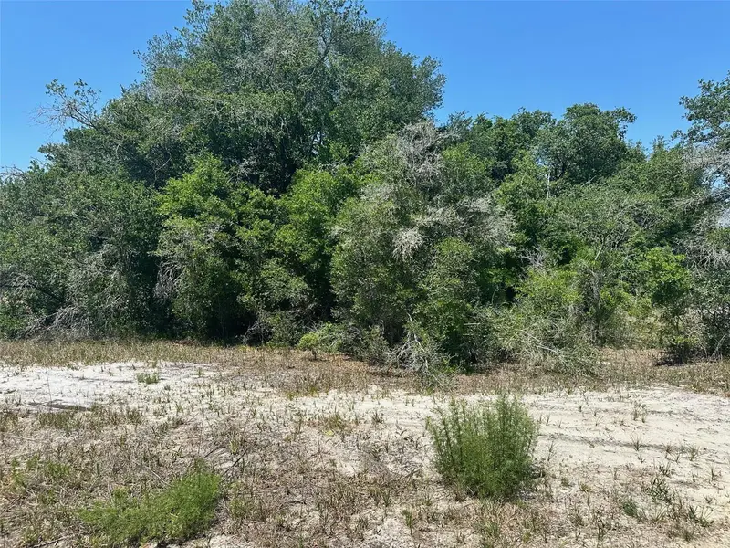 Tbd Orange Rd, FL