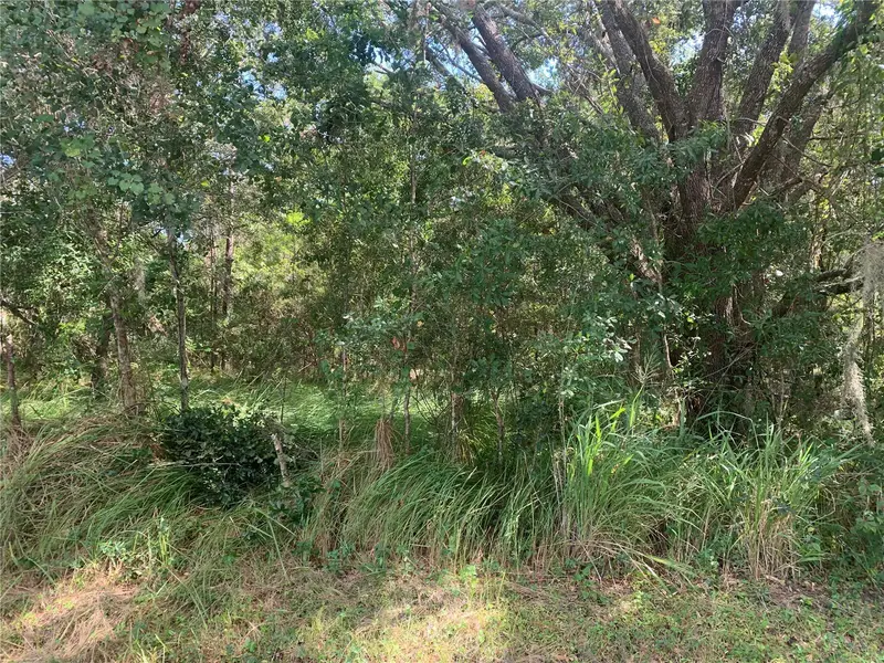 0 Haig St, FL