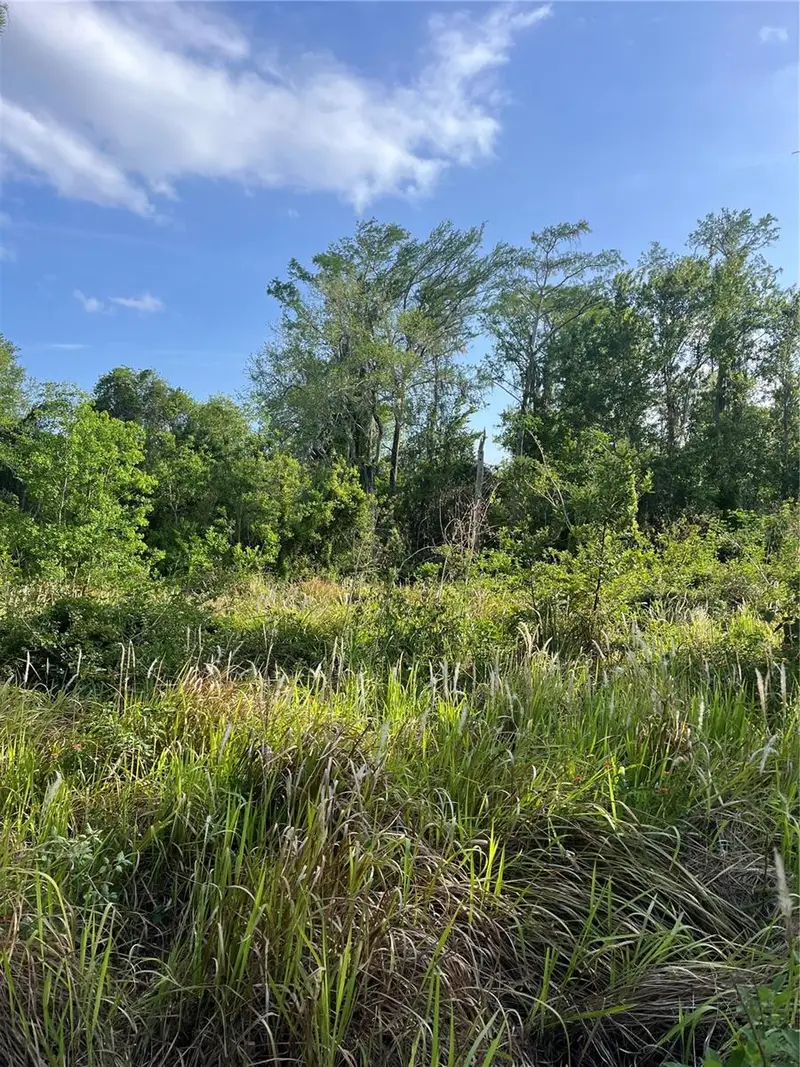 Harvest Lane, FL