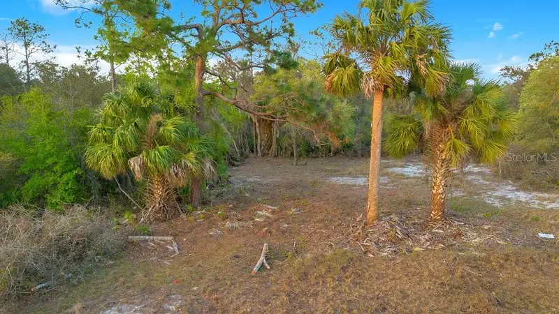 1411 Sarasota Ct, FL