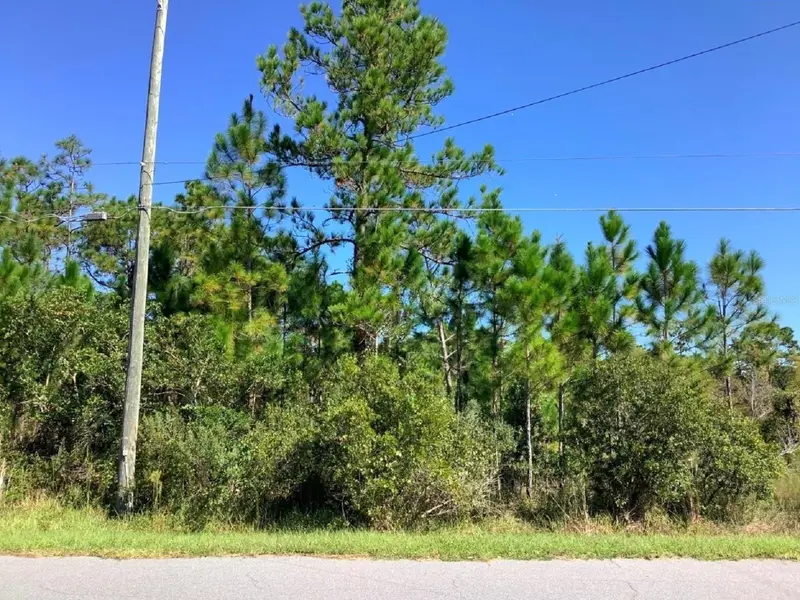 00000 Sheldon St, FL