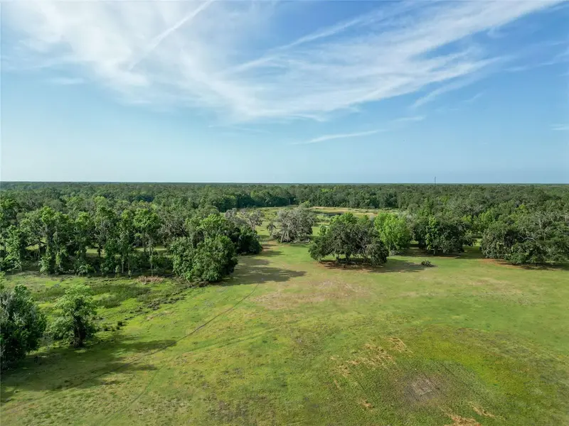 Webster listing