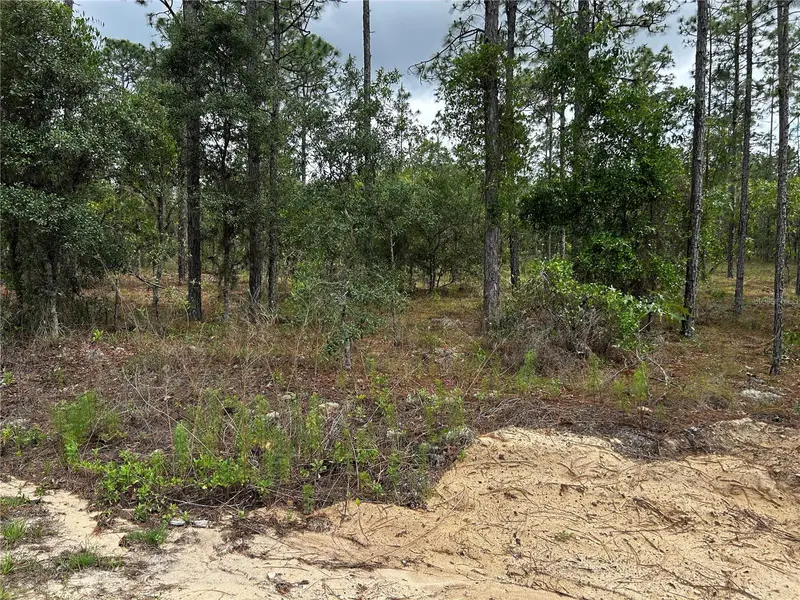 Tbd Nw Foxglove Ln, FL
